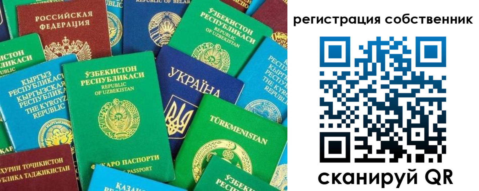 прописка в Новом Осколе